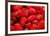 Red Raspberries, Keizer, Oregon, USA-Rick A Brown-Framed Photographic Print