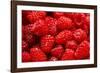 Red Raspberries, Keizer, Oregon, USA-Rick A Brown-Framed Photographic Print