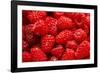 Red Raspberries, Keizer, Oregon, USA-Rick A Brown-Framed Photographic Print