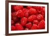 Red Raspberries, Keizer, Oregon, USA-Rick A Brown-Framed Photographic Print