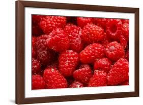 Red Raspberries, Keizer, Oregon, USA-Rick A Brown-Framed Photographic Print