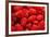 Red Raspberries, Keizer, Oregon, USA-Rick A Brown-Framed Photographic Print