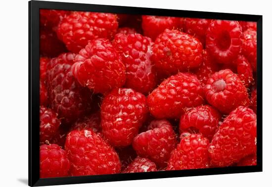 Red Raspberries, Keizer, Oregon, USA-Rick A Brown-Framed Photographic Print