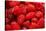 Red Raspberries, Keizer, Oregon, USA-Rick A Brown-Stretched Canvas