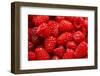 Red Raspberries, Keizer, Oregon, USA-Rick A Brown-Framed Photographic Print