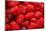 Red Raspberries, Keizer, Oregon, USA-Rick A Brown-Mounted Photographic Print