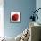 Red Raspberry-Nicole Katano-Framed Stretched Canvas displayed on a wall