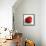 Red Raspberry-Nicole Katano-Framed Stretched Canvas displayed on a wall