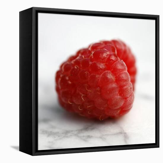 Red Raspberry-Nicole Katano-Framed Stretched Canvas