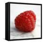 Red Raspberry-Nicole Katano-Framed Stretched Canvas