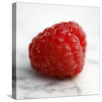 Red Raspberry-Nicole Katano-Stretched Canvas