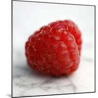 Red Raspberry-Nicole Katano-Mounted Photo