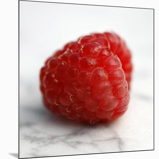 Red Raspberry-Nicole Katano-Mounted Photo
