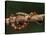 Red Rat Snake-null-Stretched Canvas