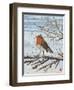 Red, Red Robin-Kirstie Adamson-Framed Giclee Print