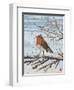 Red, Red Robin-Kirstie Adamson-Framed Giclee Print