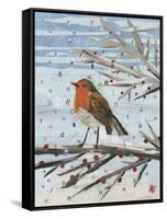 Red, Red Robin-Kirstie Adamson-Framed Stretched Canvas