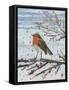 Red, Red Robin-Kirstie Adamson-Framed Stretched Canvas