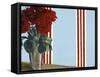 Red Red Roses-Alix Soubiran-Hall-Framed Stretched Canvas