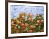 Red Ribbon Roses-Allan Friedlander-Framed Art Print