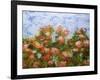 Red Ribbon Roses-Allan Friedlander-Framed Art Print