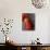 Red Ripe Pear II-Nicole Katano-Photo displayed on a wall