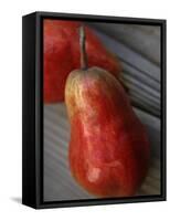 Red Ripe Pear II-Nicole Katano-Framed Stretched Canvas