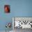 Red Ripe Pear II-Nicole Katano-Photo displayed on a wall