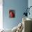 Red Ripe Pear II-Nicole Katano-Mounted Photo displayed on a wall