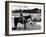 Red River, Montgomery Clift, 1948-null-Framed Photo