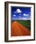 Red Road of Scoria near Fryburg, North Dakota, USA-Chuck Haney-Framed Photographic Print