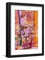 Red Rock Abstract, Petra, Jordan-William Perry-Framed Photographic Print