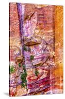 Red Rock Abstract, Petra, Jordan-William Perry-Stretched Canvas