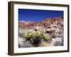 Red Rock Canyon National Conservation Area, Las Vegas, Nevada, USA-Michael DeFreitas-Framed Photographic Print