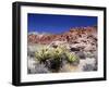 Red Rock Canyon National Conservation Area, Las Vegas, Nevada, USA-Michael DeFreitas-Framed Photographic Print