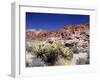 Red Rock Canyon National Conservation Area, Las Vegas, Nevada, USA-Michael DeFreitas-Framed Photographic Print