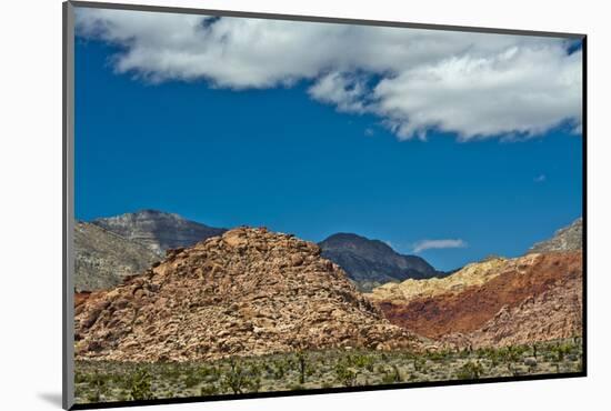 Red Rock Canyon National Conservation Area, Nevada, USA.-Michel Hersen-Mounted Photographic Print