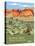 Red Rock Canyon National Conservation Area-Bureau of Land Management-Stretched Canvas