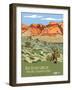 Red Rock Canyon National Conservation Area-Bureau of Land Management-Framed Art Print