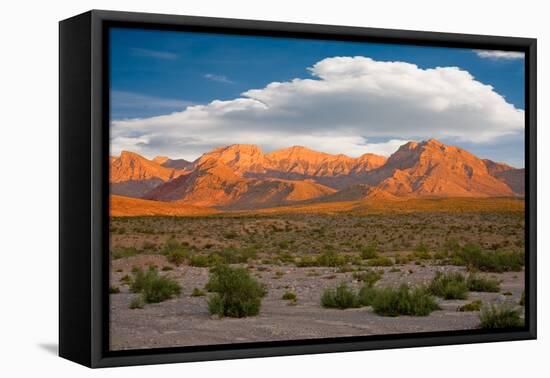 Red Rock Canyon, Nevada-Swartz Photography-Framed Stretched Canvas