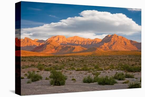 Red Rock Canyon, Nevada-Swartz Photography-Stretched Canvas