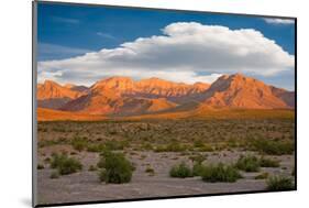 Red Rock Canyon, Nevada-Swartz Photography-Mounted Photographic Print