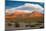 Red Rock Canyon, Nevada-Swartz Photography-Mounted Photographic Print