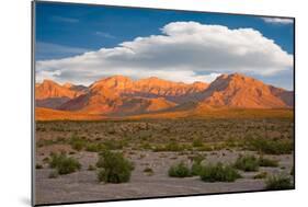 Red Rock Canyon, Nevada-Swartz Photography-Mounted Photographic Print