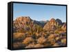 Red Rock Canyon Outside Las Vegas, Nevada, United States of America, North America-Michael DeFreitas-Framed Stretched Canvas