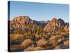 Red Rock Canyon Outside Las Vegas, Nevada, United States of America, North America-Michael DeFreitas-Stretched Canvas