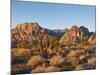 Red Rock Canyon Outside Las Vegas, Nevada, United States of America, North America-Michael DeFreitas-Mounted Photographic Print