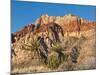 Red Rock Canyon Outside Las Vegas, Nevada, United States of America, North America-Michael DeFreitas-Mounted Photographic Print