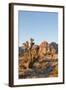 Red Rock Canyon Outside Las Vegas, Nevada, USA-Michael DeFreitas-Framed Photographic Print