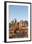 Red Rock Canyon Outside Las Vegas, Nevada, USA-Michael DeFreitas-Framed Photographic Print